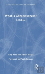 What Is Consciousness?