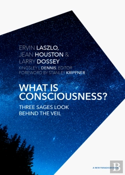 Bertrand.pt - What Is Consciousness?