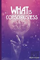 What Is Consciousness