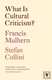 What Is Cultural Criticism?