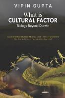 What Is Cultural Factor