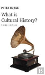 What Is Cultural History?