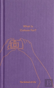 What Is Culture For?