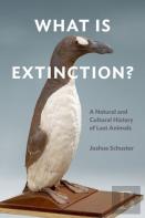 What Is Extinction?