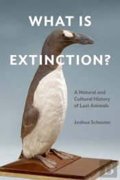 What Is Extinction?