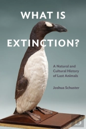 What Is Extinction?