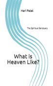 What Is Heaven Like?