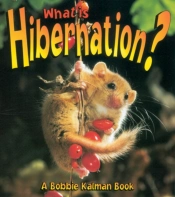 What Is Hibernation