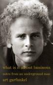 What Is It All But Luminous