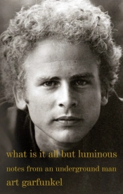What Is It All But Luminous