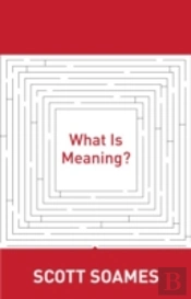 What Is Meaning?