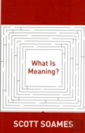 What Is Meaning?