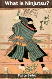 What Is Ninjutsu?