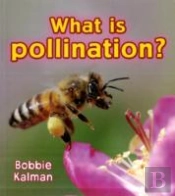 What Is Pollination?