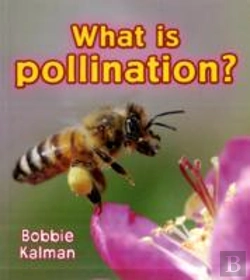 Bertrand.pt - What Is Pollination?