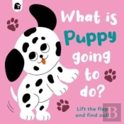 What Is Puppy Going To Do?