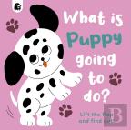 What Is Puppy Going To Do?