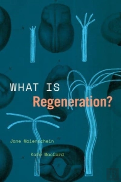 Bertrand.pt - What Is Regeneration?