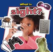 What Is Sight?