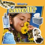What Is Smell?