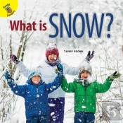 What Is Snow?
