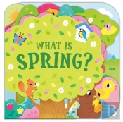 What Is Spring?