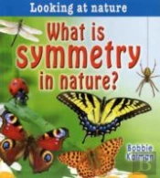 What Is Symmetry In Nature?