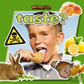 What Is Taste?