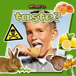 Bertrand.pt - What Is Taste?