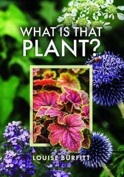 Bertrand.pt - What Is That Plant?