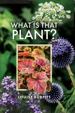 Bertrand.pt - What Is That Plant?