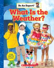 What Is The Weather? (Be An Expert!)