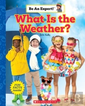 What Is The Weather? (Be An Expert!)