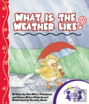 What Is The Weather Like Today?