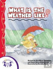 What Is The Weather Like Today?