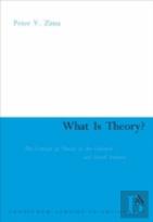 What Is Theory?
