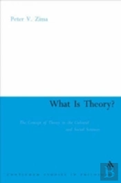 What Is Theory?