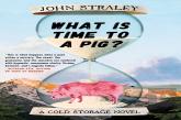 What Is Time To A Pig?
