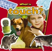 What Is Touch?