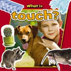 Bertrand.pt - What Is Touch?