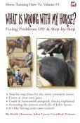 What Is Wrong With My Horse?