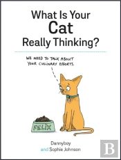 What Is Your Cat Really Thinking?
