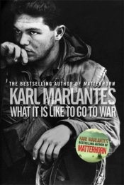 What It Is Like To Go To War
