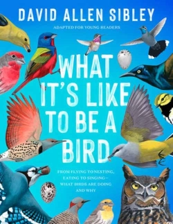 Bertrand.pt - What It'S Like To Be A Bird (Adapted For Young Readers)