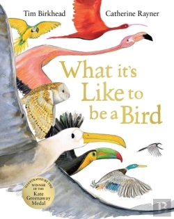 Bertrand.pt - What It'S Like To Be A Bird