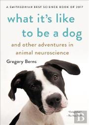 What Its Like To Be A Dog & Other Advent
