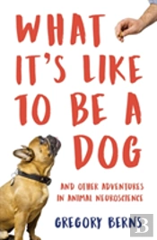 What It'S Like To Be A Dog