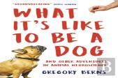 What It'S Like To Be A Dog