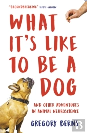 What It'S Like To Be A Dog