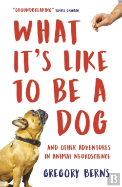 Bertrand.pt - What It'S Like To Be A Dog